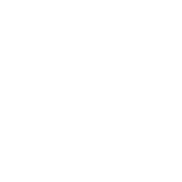 mac repair